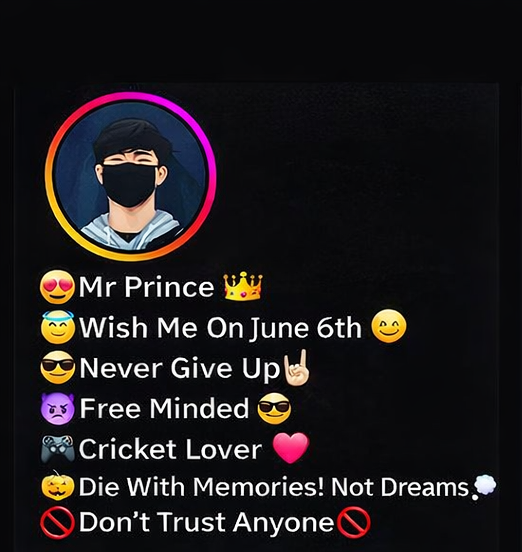 Instagram Bio For Boys