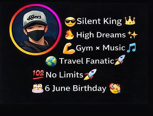 Instagram Bio for Boys Attitude